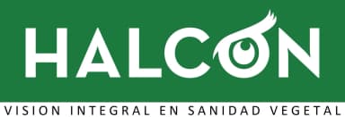 Institución